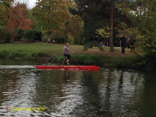 Réglage du safran sur le lac des Ibis au Vésinet en octobre 2014